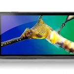 samsung-galaxy-nexus samsung-galaxy-nexus
