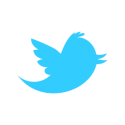 twitter_newbird_blue