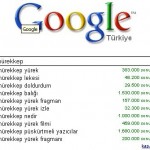 Google Aramaları için Öneriler (Google Suggest) 