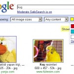 Google Görseller Renklere Göre Arama