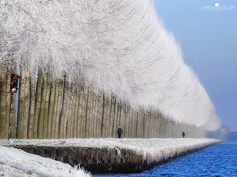 nefes kesen 20 mükemmel kış fotoğrafı