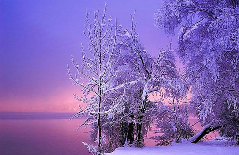 nefes kesen 20 mükemmel kış fotoğrafı
